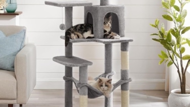 Este es el rascador para gatos con más de 10 mil valoraciones positivas y por menos de 50€