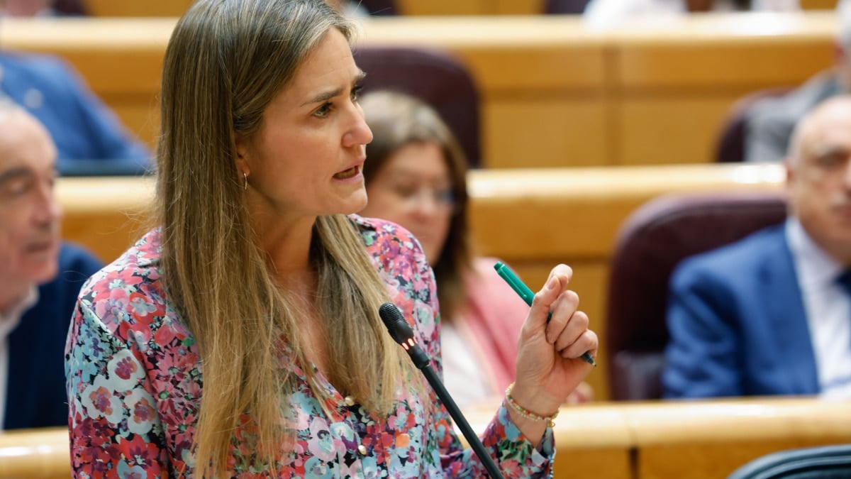MADRID, 06/05/2025.- La vicepresidenta tercera y ministra para la Transición Ecológica y el Reto Demográfico , Sara Aagesen, interviene en la sesión de control al Gobierno celebrada este martes por el pleno del Senado. EFE/ J.P.Gandul