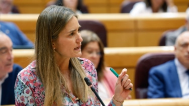 Sánchez llega al Congreso sin las causas del apagón y con la hipótesis del ciberataque todavía en pie