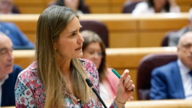 Sánchez llega al Congreso sin las causas del apagón y con la hipótesis del ciberataque todavía en pie
