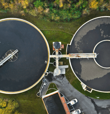 Día Mundial del Medio Ambiente: contemplar la naturaleza para diseñar estrategias inteligentes