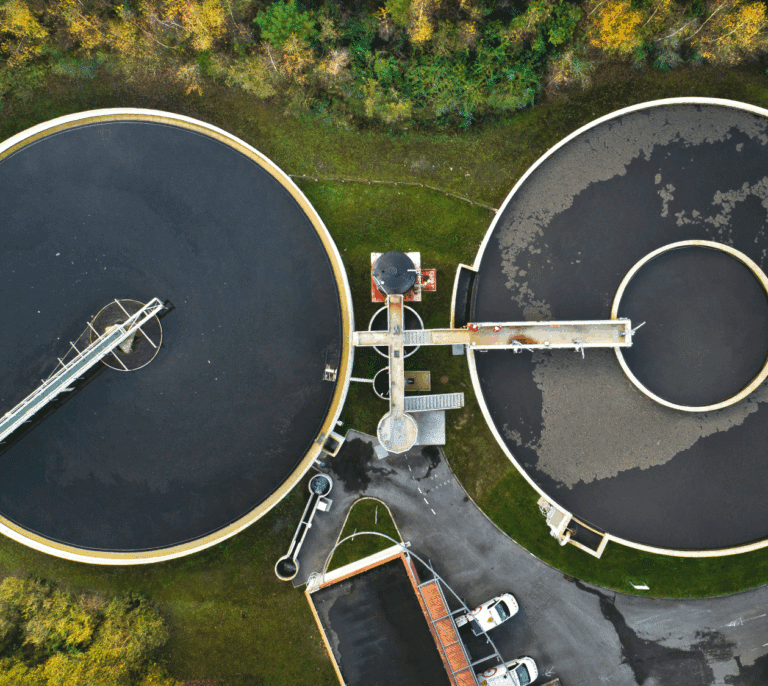 Día Mundial del Medio Ambiente: contemplar la naturaleza para diseñar estrategias inteligentes