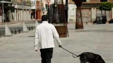 Muere un perro que iba acompañado del dueño al recibir un disparo desde una vivienda en Castellón