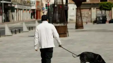 Muere un perro que iba acompañado del dueño al recibir un disparo desde una vivienda en Castellón