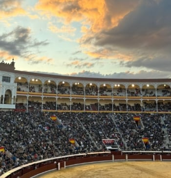 El vídeo de Morante trepa por el tendido de Las Ventas