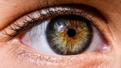 La luteina el aliado esencial para mantener tu vista y evitar cataratas