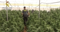 Detenida una red que transportaba marihuana desde Cádiz al norte de España