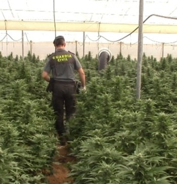 Detenida una red que transportaba marihuana desde Cádiz al norte de España