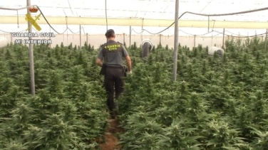 Detenida una red que transportaba marihuana desde Cádiz al norte de España