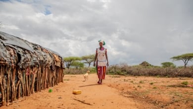 Los cinco grandes desafíos de la ayuda humanitaria en África