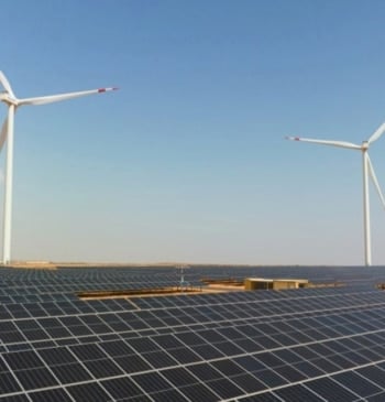 Naturgy refuerza su compromiso con las energías renovables y la biodiversidad