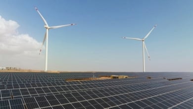 Naturgy refuerza su compromiso con las energías renovables y la biodiversidad