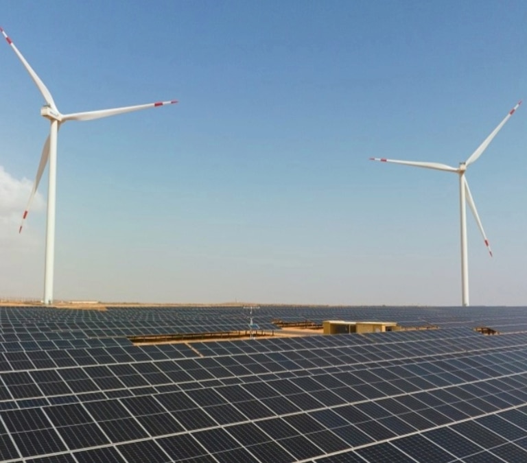 Naturgy refuerza su compromiso con las energías renovables y la biodiversidad