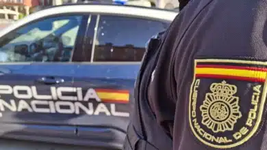 Arrestan al dueño de un bazar en Linares por vender armas y munición ilegal