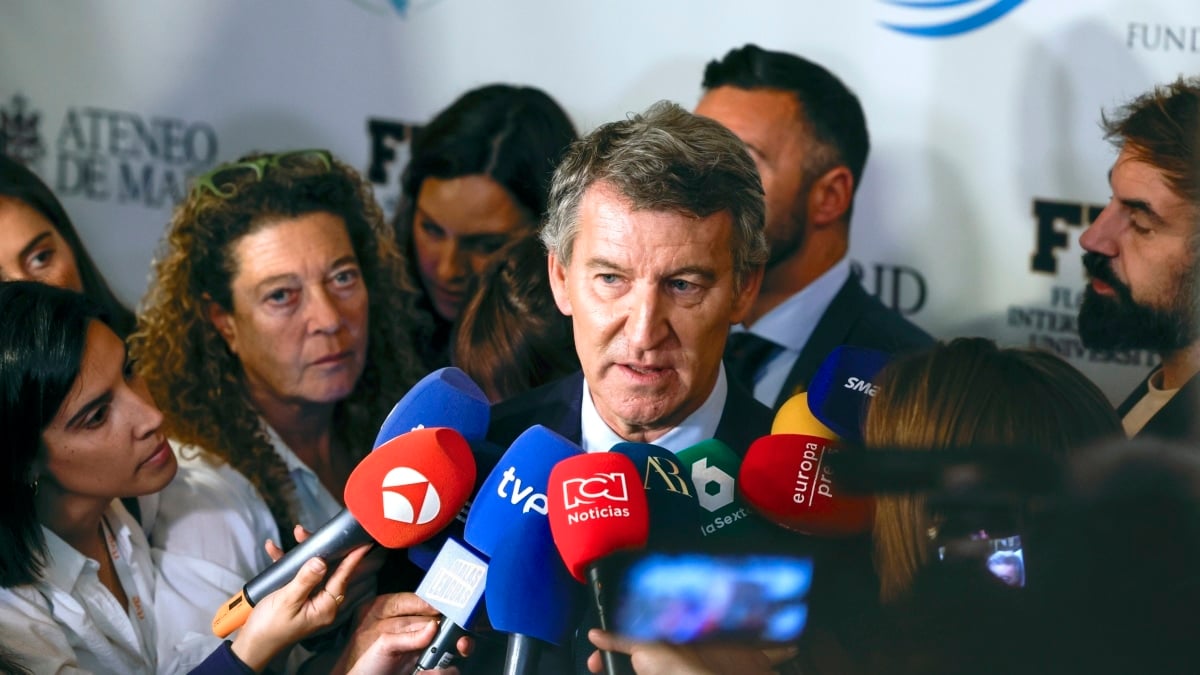 El líder del Partido Popular, Alberto Núñez Feijóo