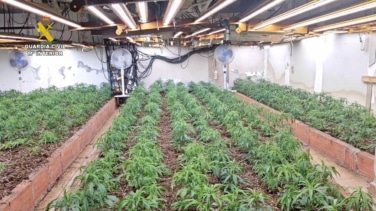 Cae plantación de marihuana en Almería: dos detenidos van a prisión