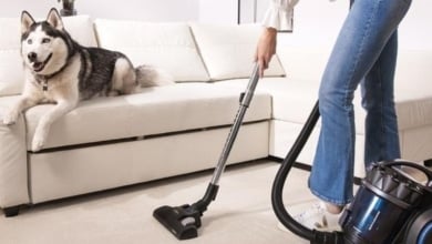 Así es este aspirador de Cecotec sin bolsa que arrasa en ventas y que está rebajadísimo