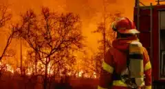 Controlado un incendio forestal en un paraje que pudo originarse por un rayo
