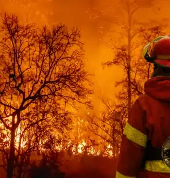 Controlado un incendio forestal en un paraje que pudo originarse por un [...]