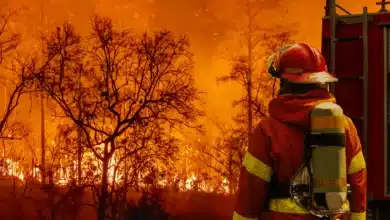 Controlado un incendio forestal en un paraje que pudo originarse por un rayo