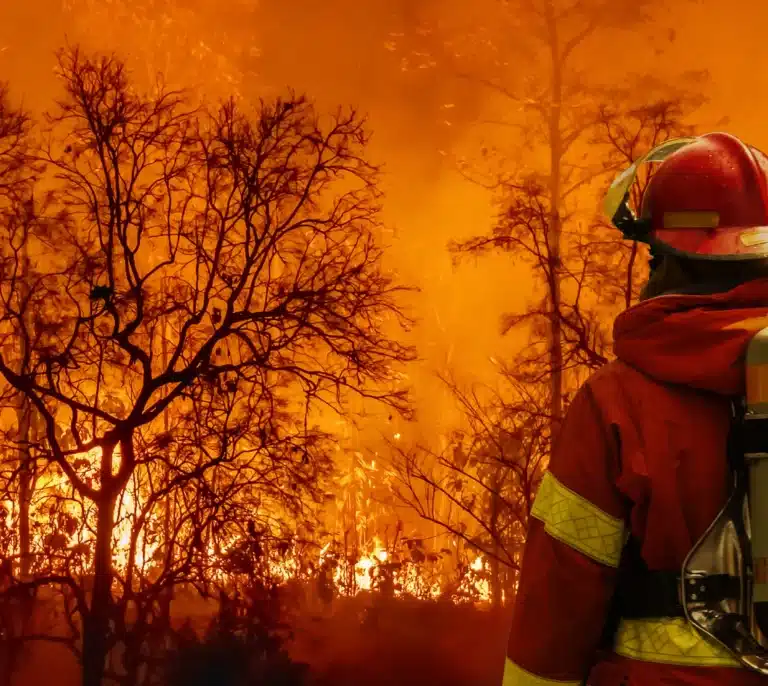 Controlado un incendio forestal en un paraje que pudo originarse por un rayo
