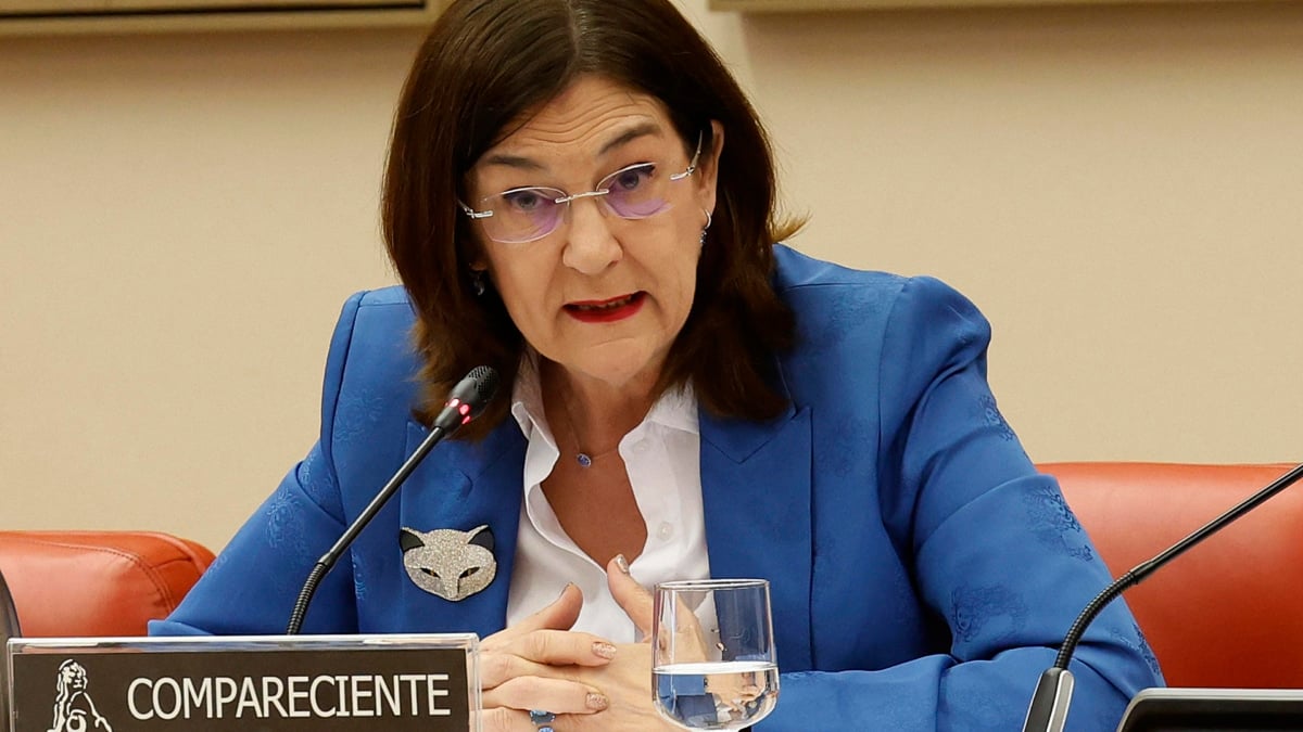 La presidenta de la Comisión Nacional del Mercado de la Competencia (CNMC), Cani Fernández, en el Congreso.