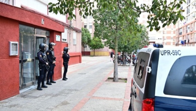 Once detenidos y 15 registros en una gran operación antidroga en la sierra de Cádiz