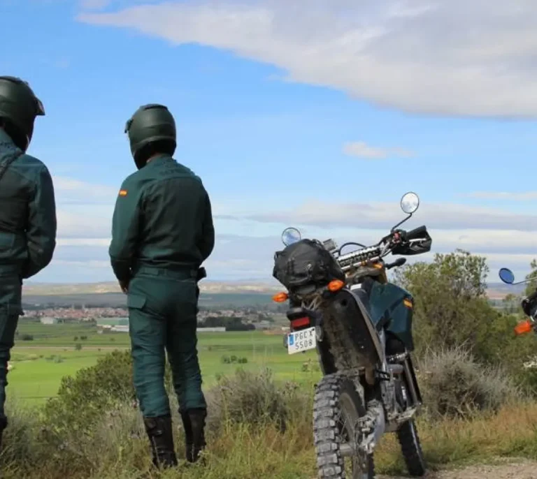 Maltrato Animal en Guadalajara: dos hombres bajo investigación por la muerte de un perro