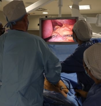 La bacteria intestinal clave para hacer frente a la obesidad, según una [...]
