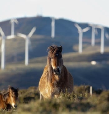 ¿Boom o burbuja? La energías renovables en el punto de mira