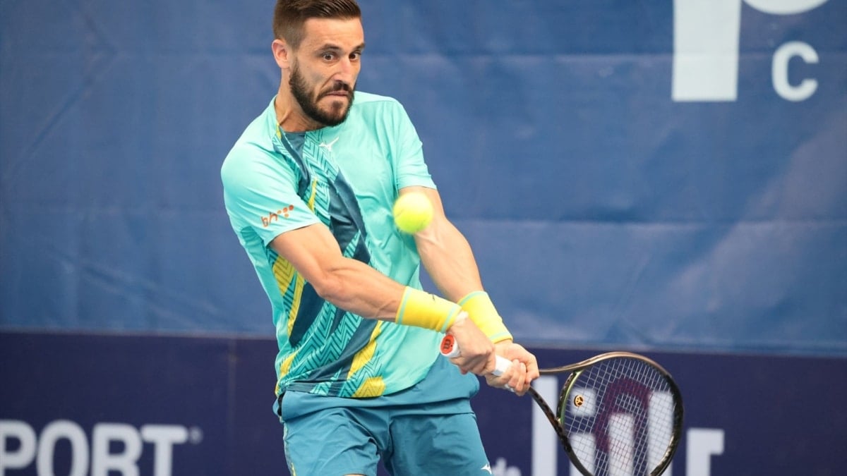 ¿Quién es Damir Dzumhur?