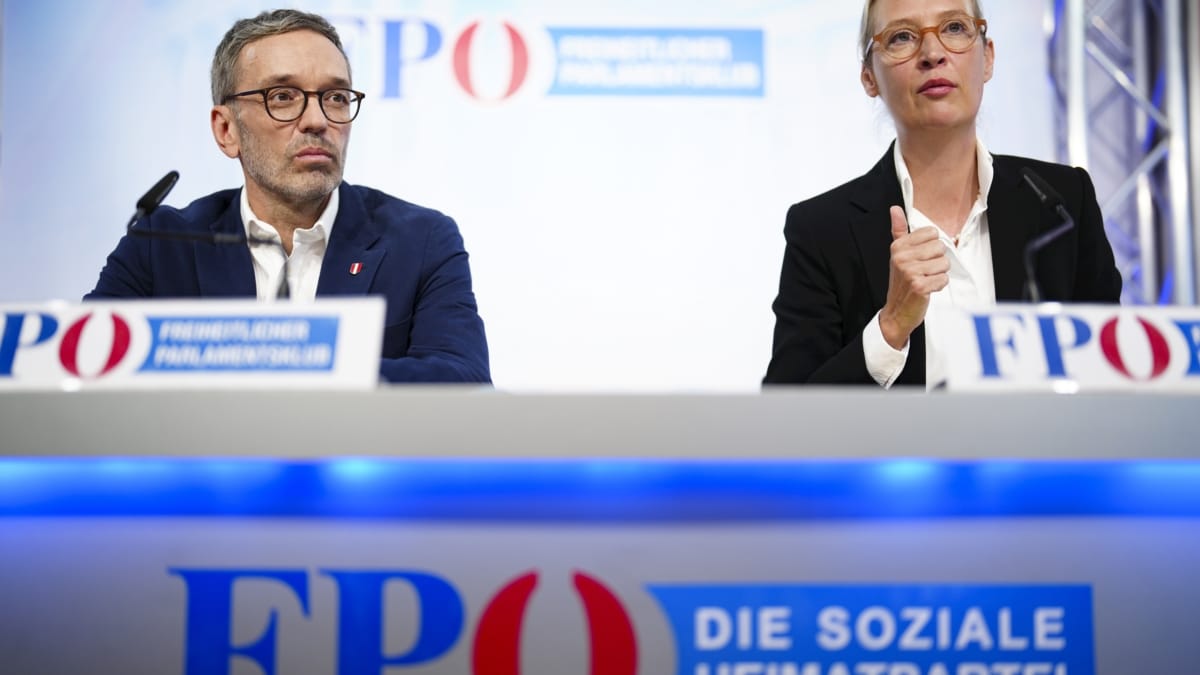 AfD ve como un "golpe para la democracia" alemana su consideracion como organización extremista