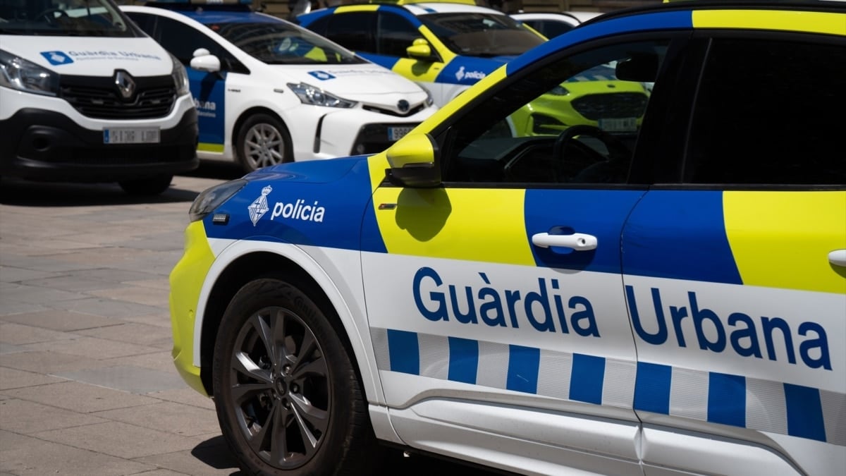 La Guardia Urbana de Tarragona mata a un perro en la A-7 por "poner en peligro" la circulación
