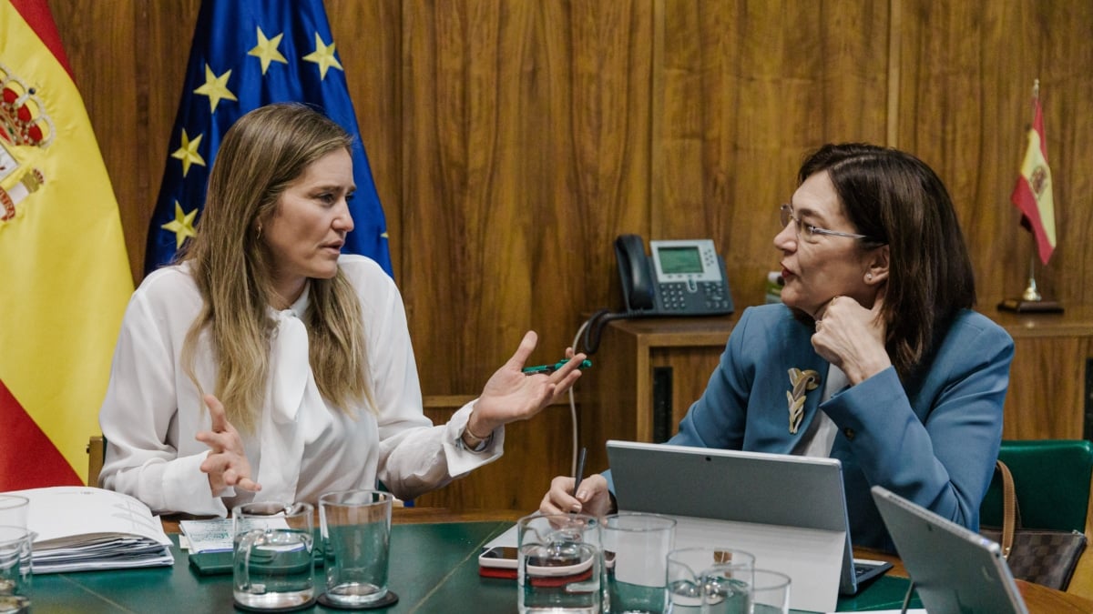 La vicepresidenta del Gobierno y ministra para la Transición Ecológica y el Reto Demográfico, Sara Aagesen (i) y la presidenta de la Comisión Nacional de los Mercados y la Competencia (CNMC), Cani Fernández.