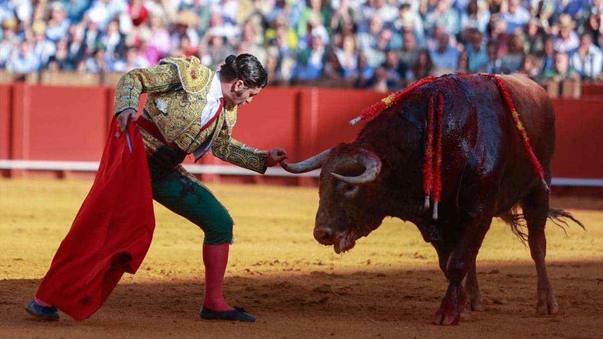 Morante de la Puebla, el jueves de preferia en La Maestranza de Sevilla.