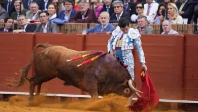 Estos son los carteles de la Feria de San Isidro