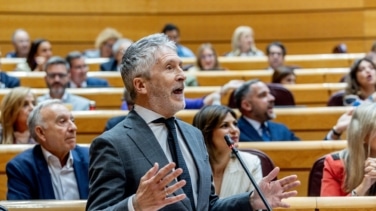 Interior ordena no sancionar el consumo de drogas dentro de vehículos que estén aparcados