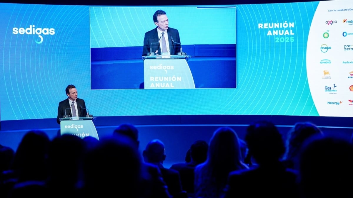 El CEO de Enagás señala que el apagón demostró el "papel fundamental" del sistema gasista