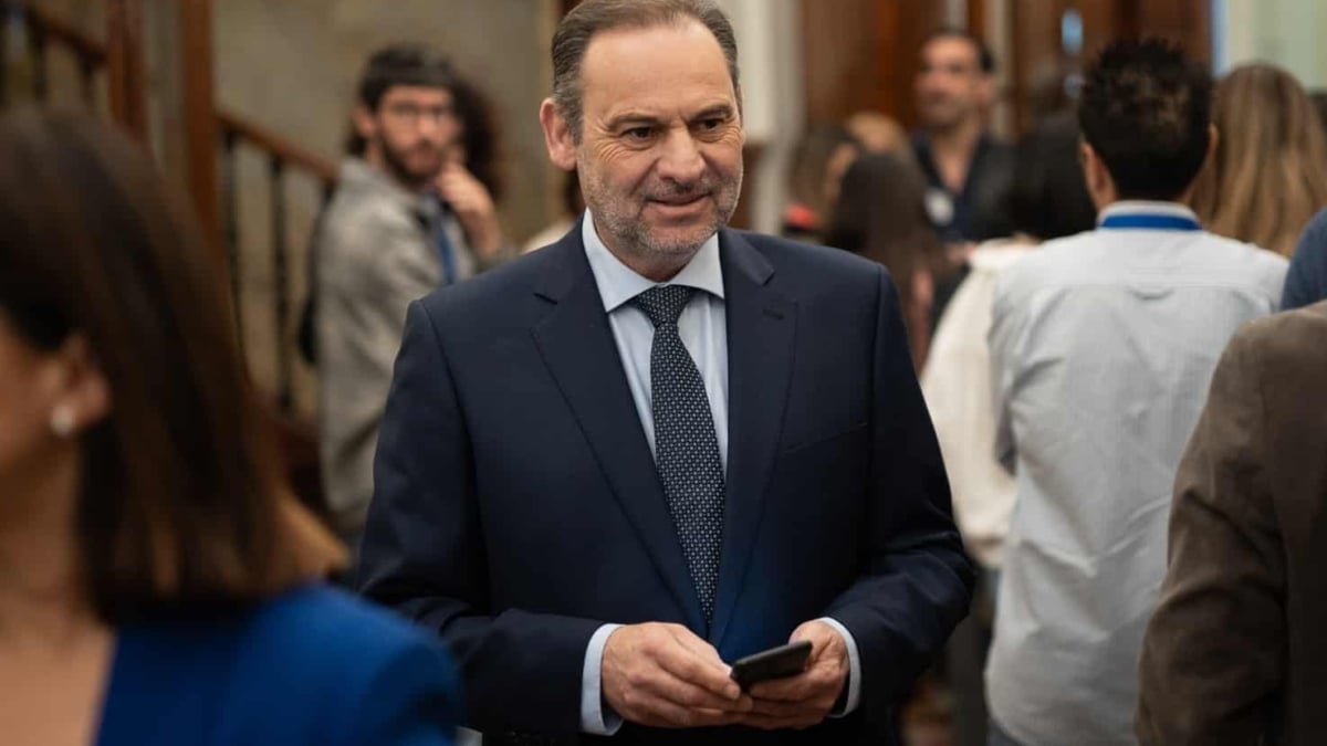 José Luis Ábalos, en el Congreso.