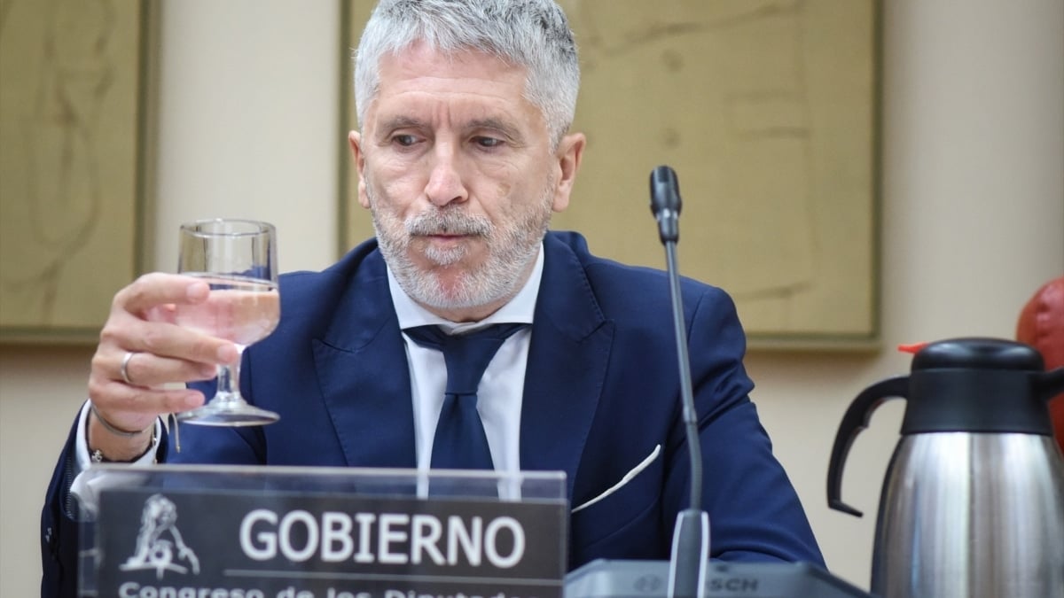El ministro del Interior, Fernando Grande-Marlaska, durante su comparecencia en la Comisión Mixta de Seguridad Nacional, en el Congreso de los Diputados.