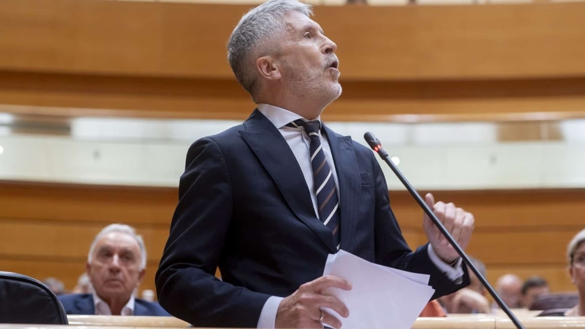 Fernando Grande-Marlaska, ministro del Interior, en el Senado.
