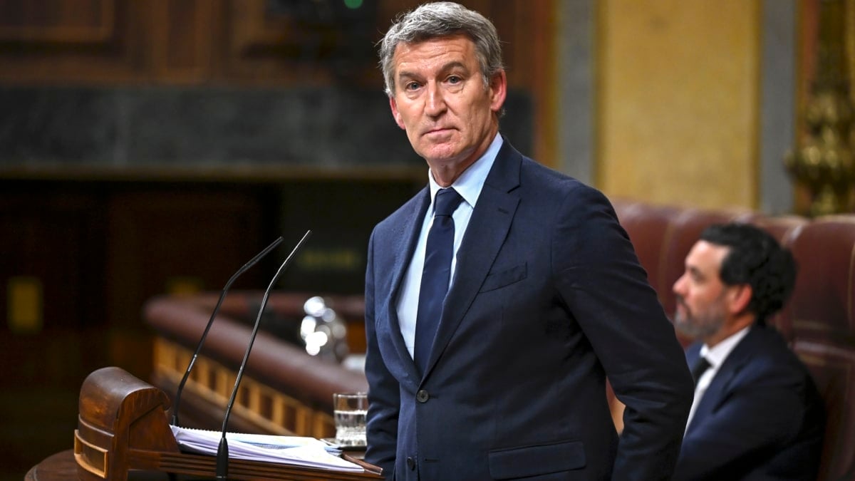 El líder del PP, Alberto Núñez Feijóo, interviene en un pleno celebrado en el Congreso