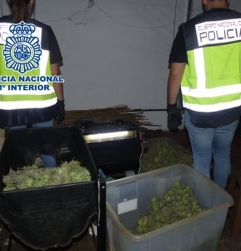 Cuatro detenidos de un clan familiar por cultivo indoor de marihuana en [...]
