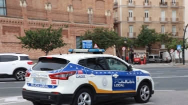 Detenidos dos sospechosos por agredir a un agente y robar en un hotel