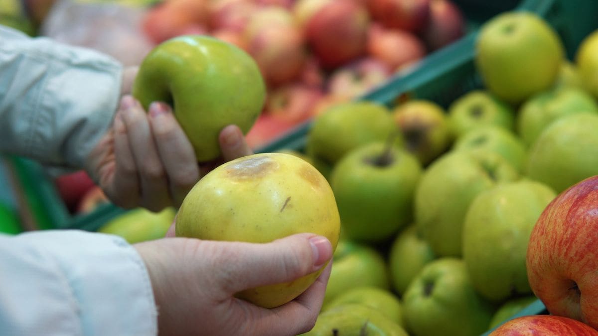 Fruta habitualmente