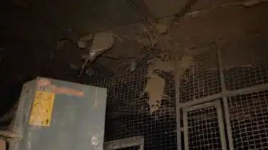 Grave denuncia por insalubridad y maltrato en una macrogranja avícola de Mallorca
