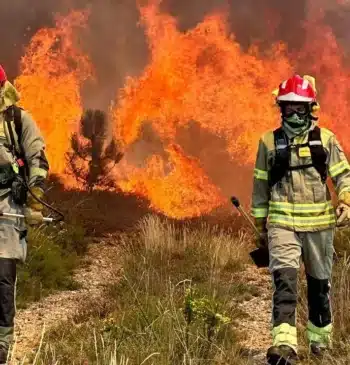 El Ayuntamiento de Moguer apunta a que el incendio en La Malvina [...]