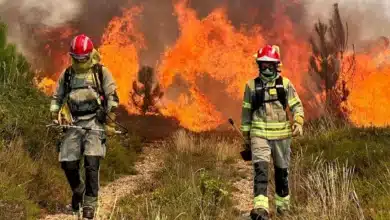 El Ayuntamiento de Moguer apunta a que el incendio en La Malvina fue intencionado