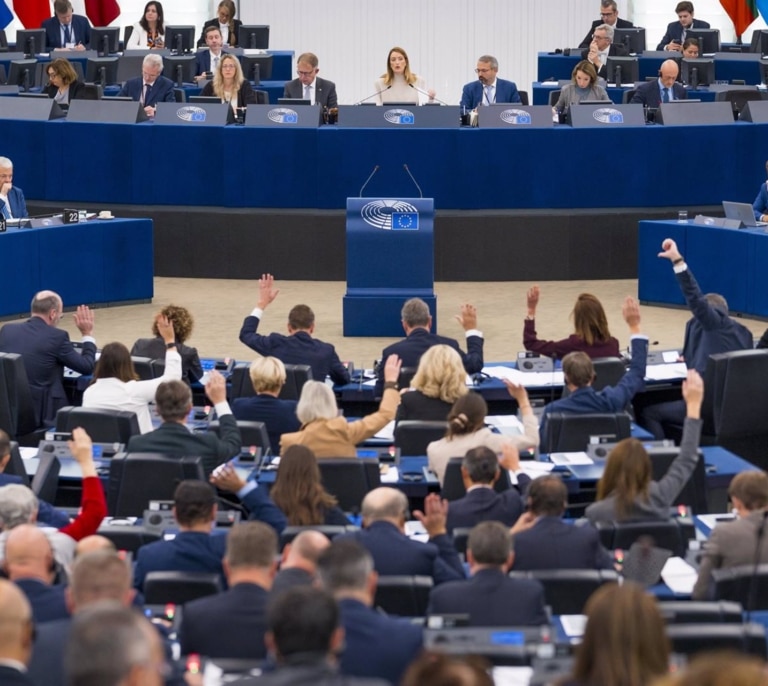 Un solo voto en el Parlamento Europeo salva el polémico etiquetado de los productos del Sáhara como de Marruecos