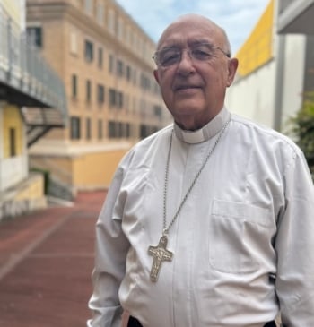 "Hay un sector entre los cardenales, pequeño pero con mucho dinero, que [...]